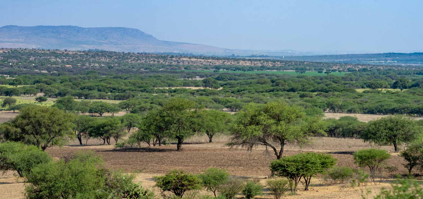 Privada Los Sagrados Image