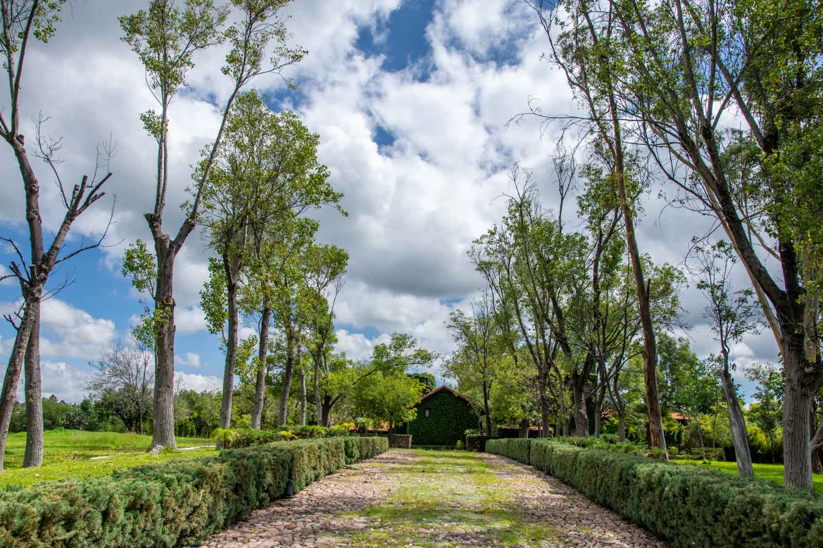 La Loma, Lot 4 Image