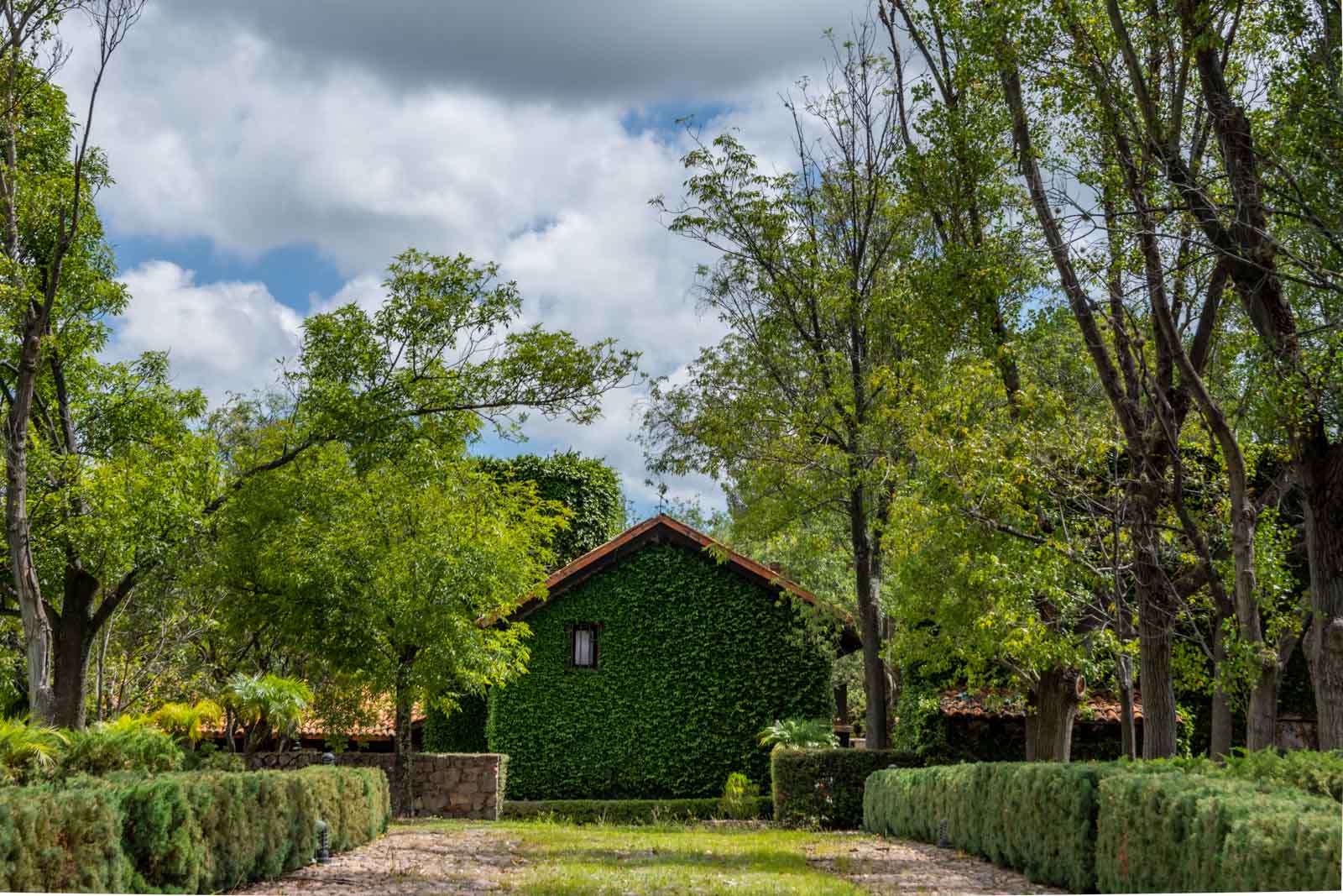 La Loma, Lot 4 Image