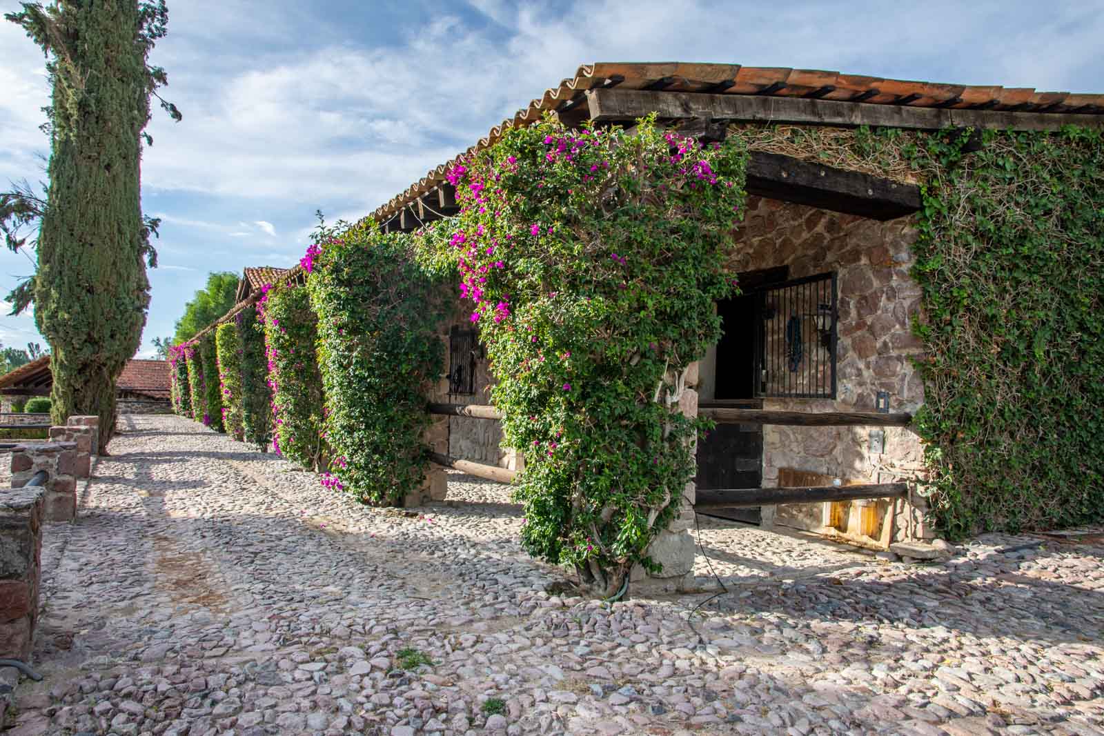 La Loma, Lot 4 Image