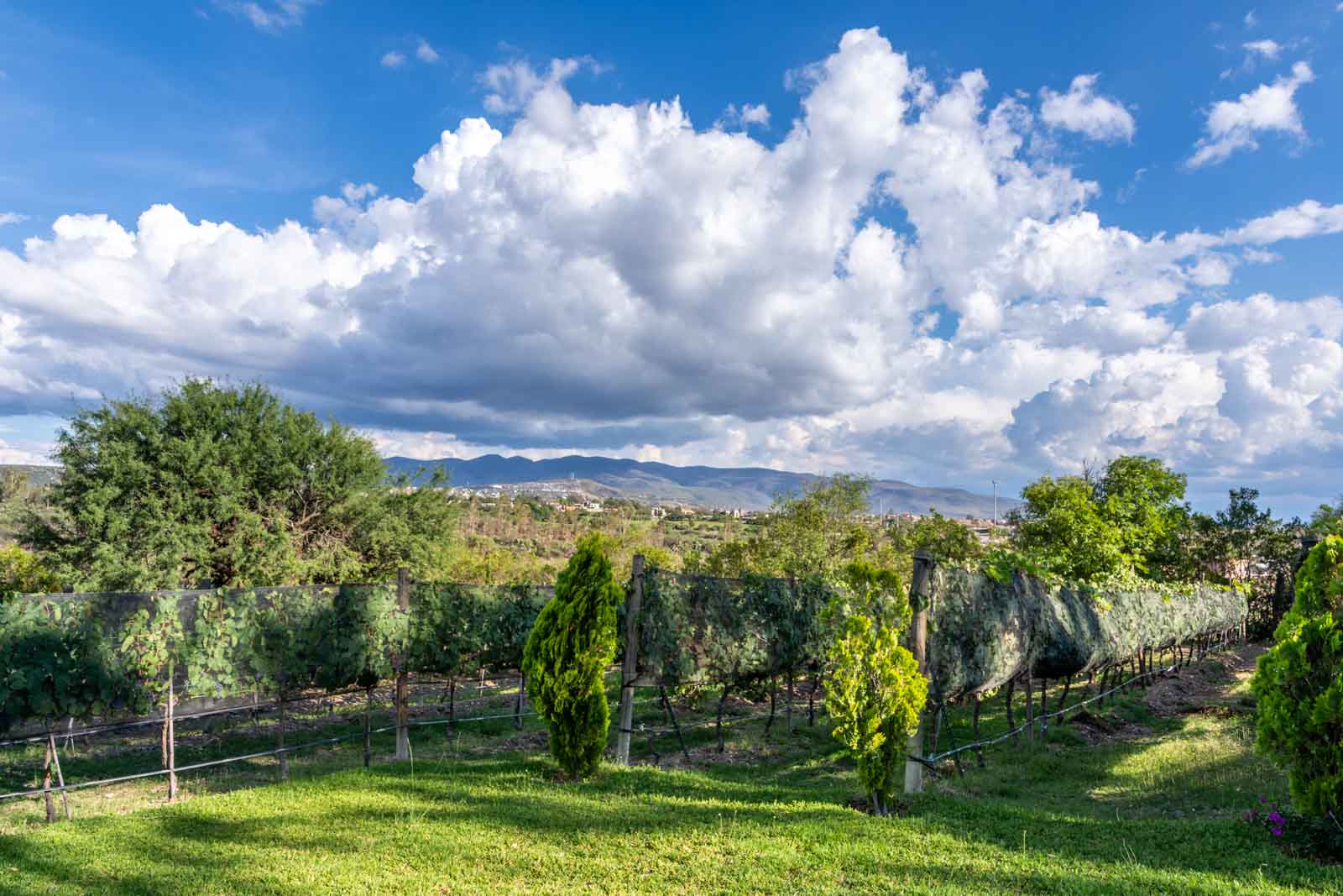 La Loma, Lot 3 Image