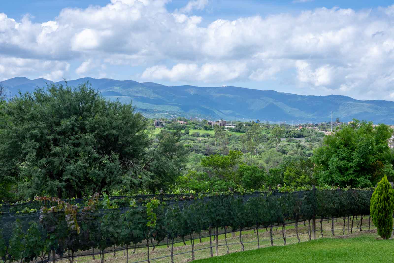 La Loma, Lot 3 Image