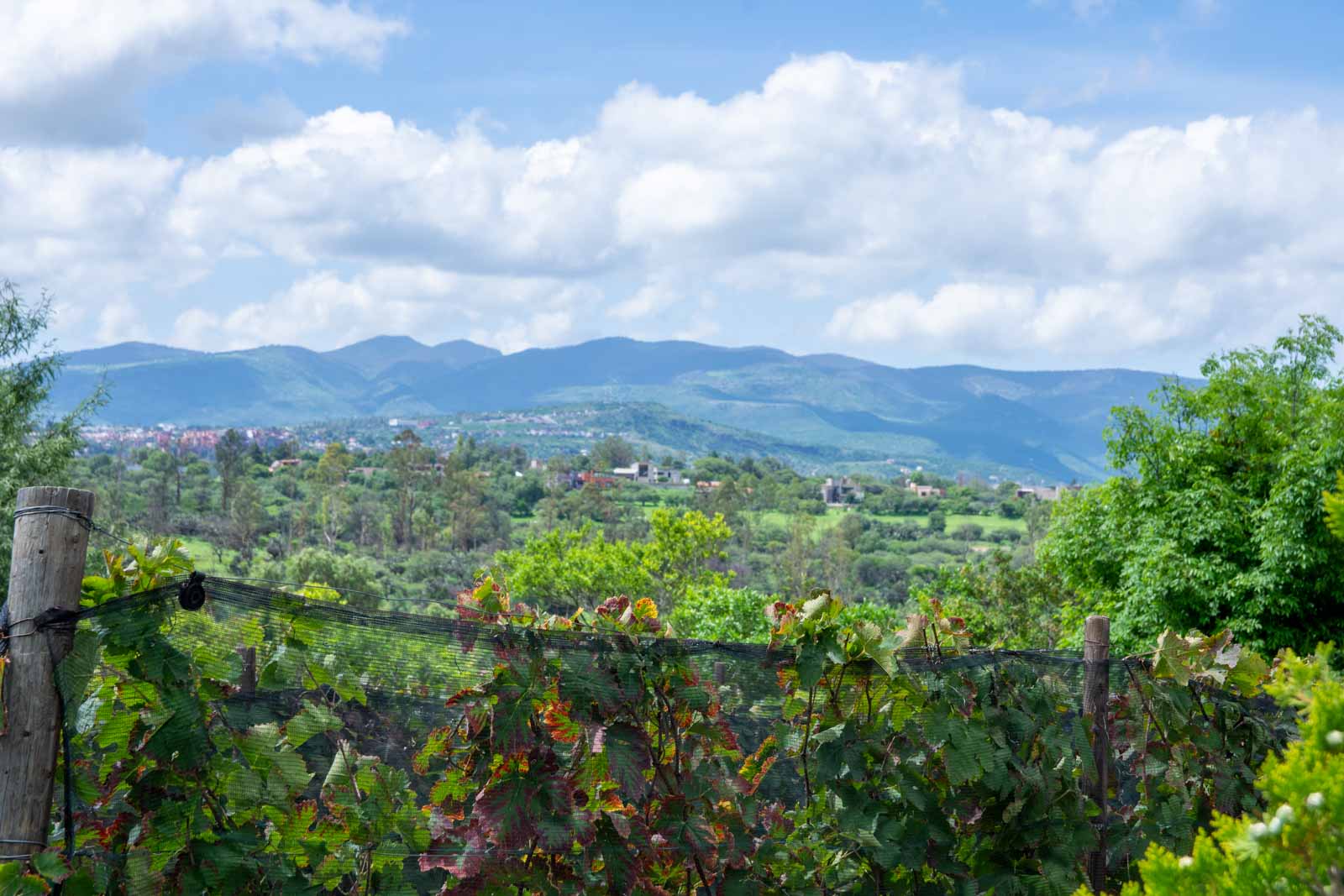 La Loma, Lot 3 Image