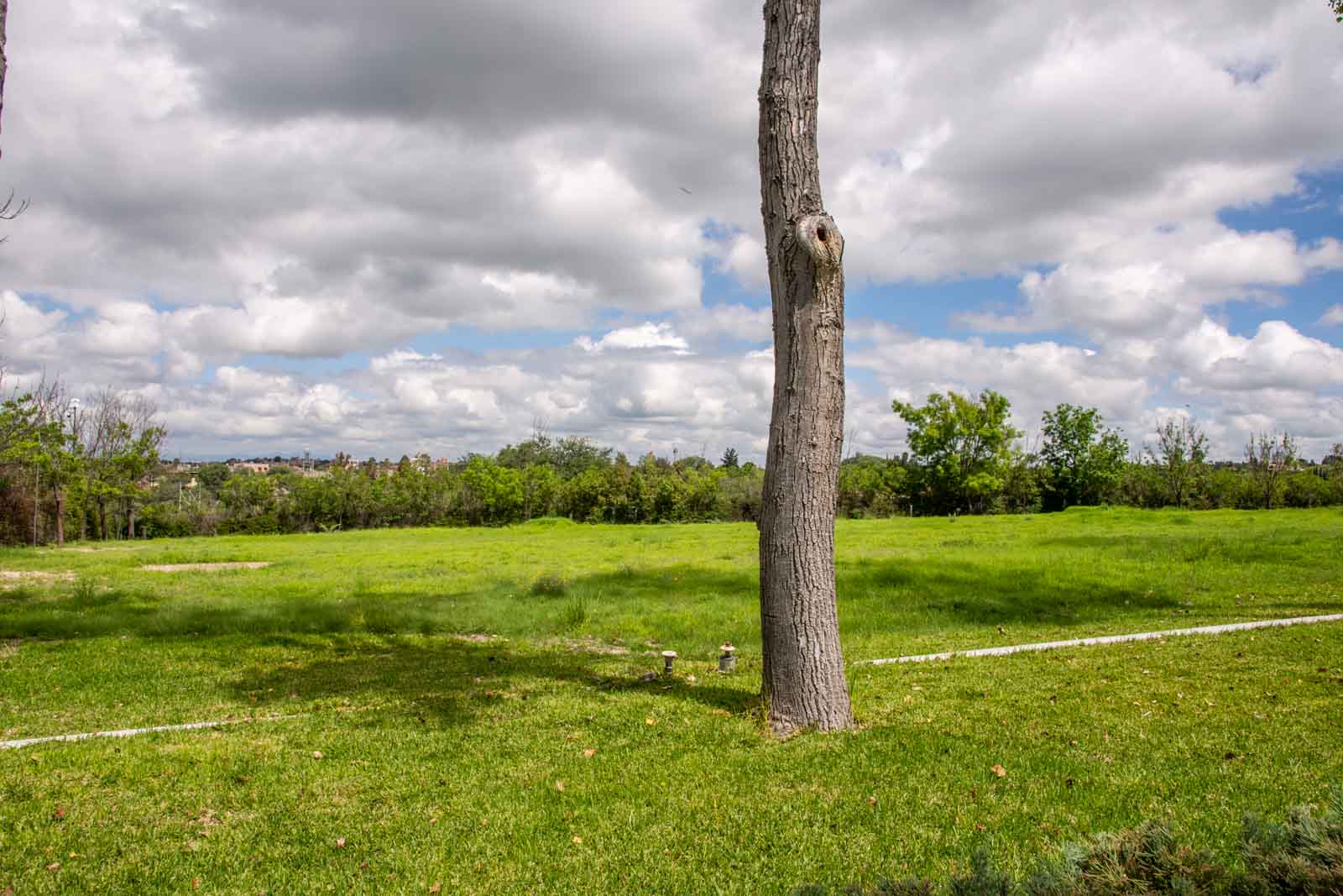 La Loma, Lot 4 Image