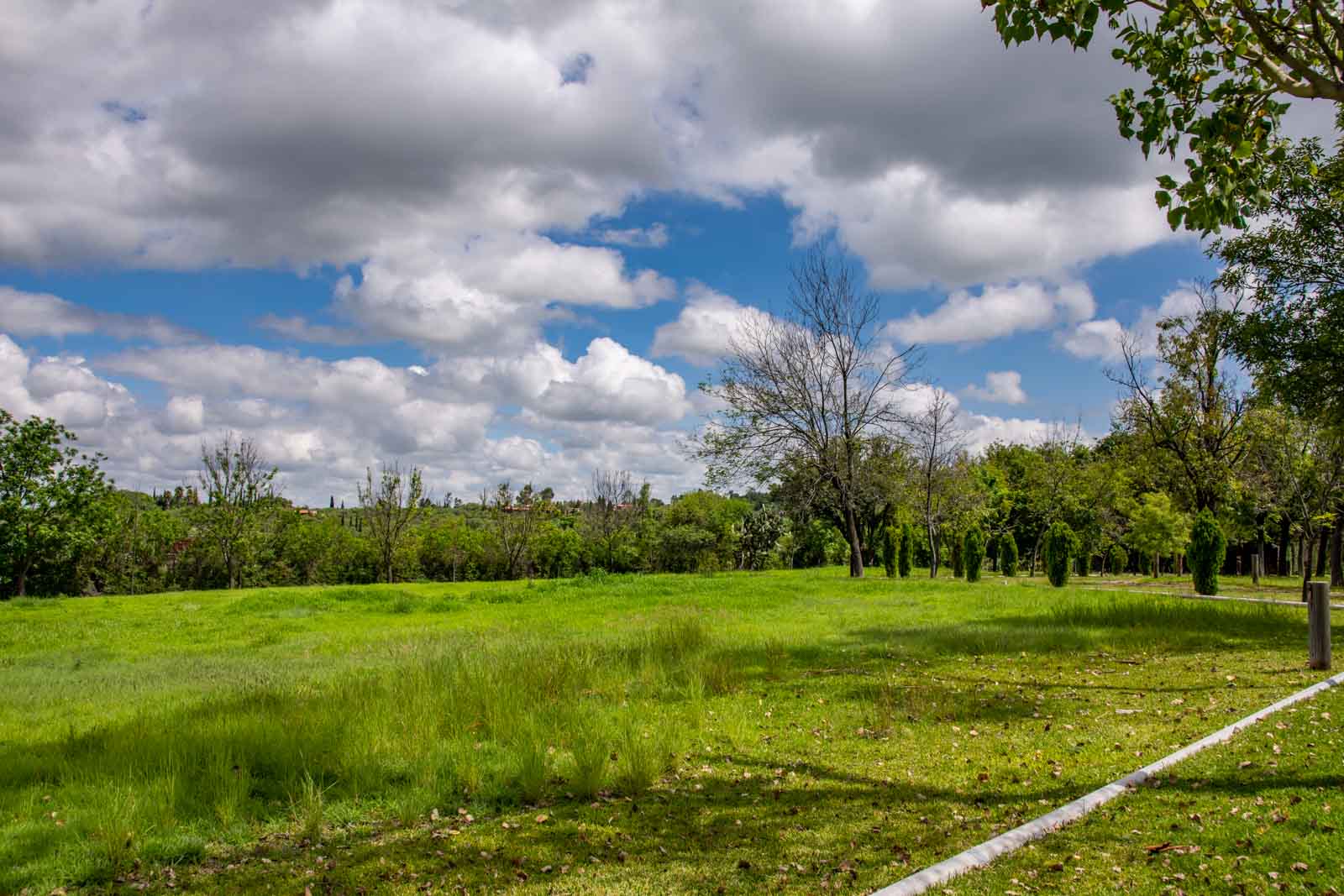 La Loma, Lot 4 Image